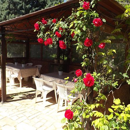 توري B&B Villa Lena المظهر الخارجي الصورة