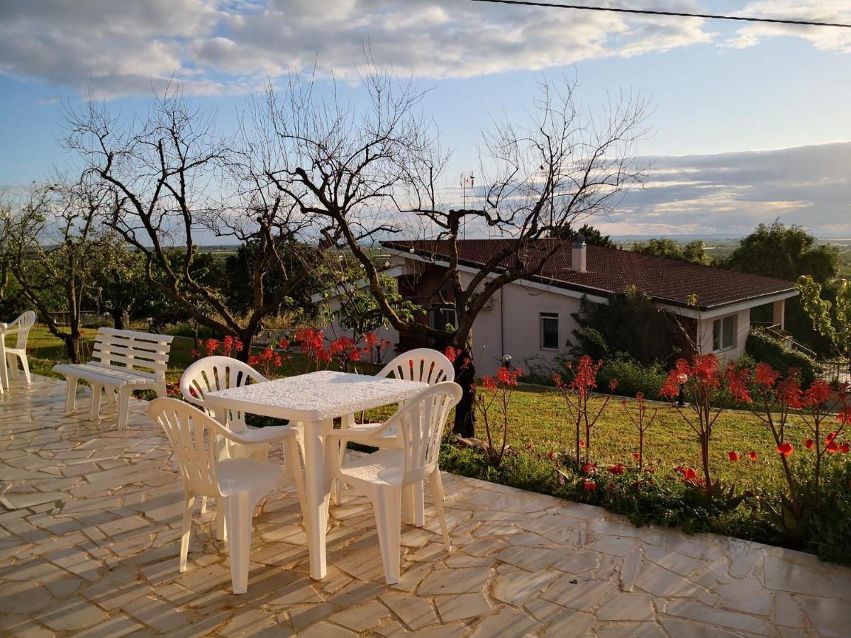 توري B&B Villa Lena المظهر الخارجي الصورة