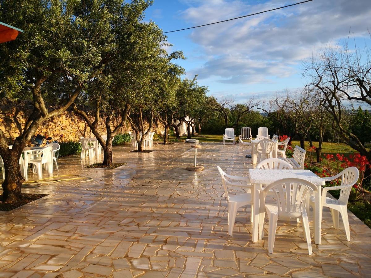 توري B&B Villa Lena المظهر الخارجي الصورة