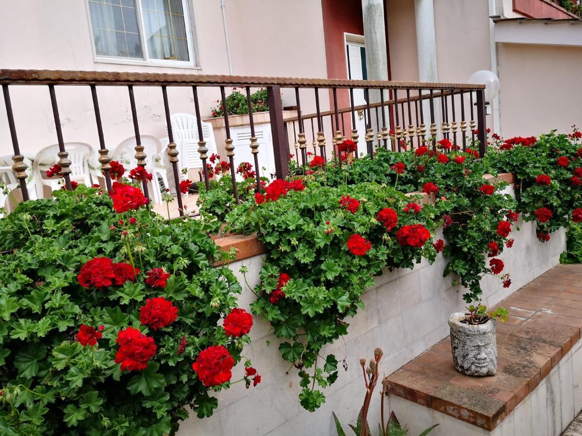 توري B&B Villa Lena المظهر الخارجي الصورة