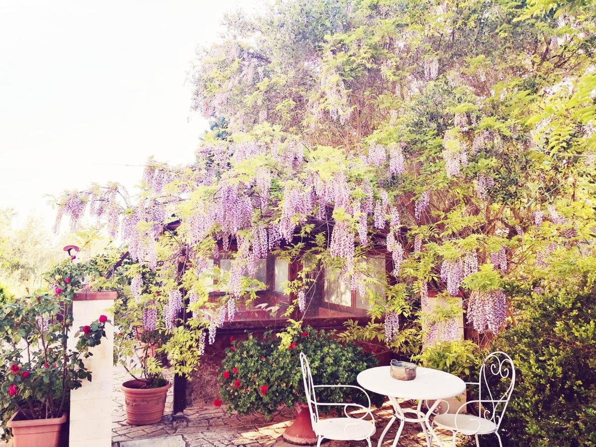 توري B&B Villa Lena المظهر الخارجي الصورة